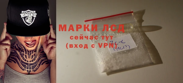 PSILOCYBIN Козельск